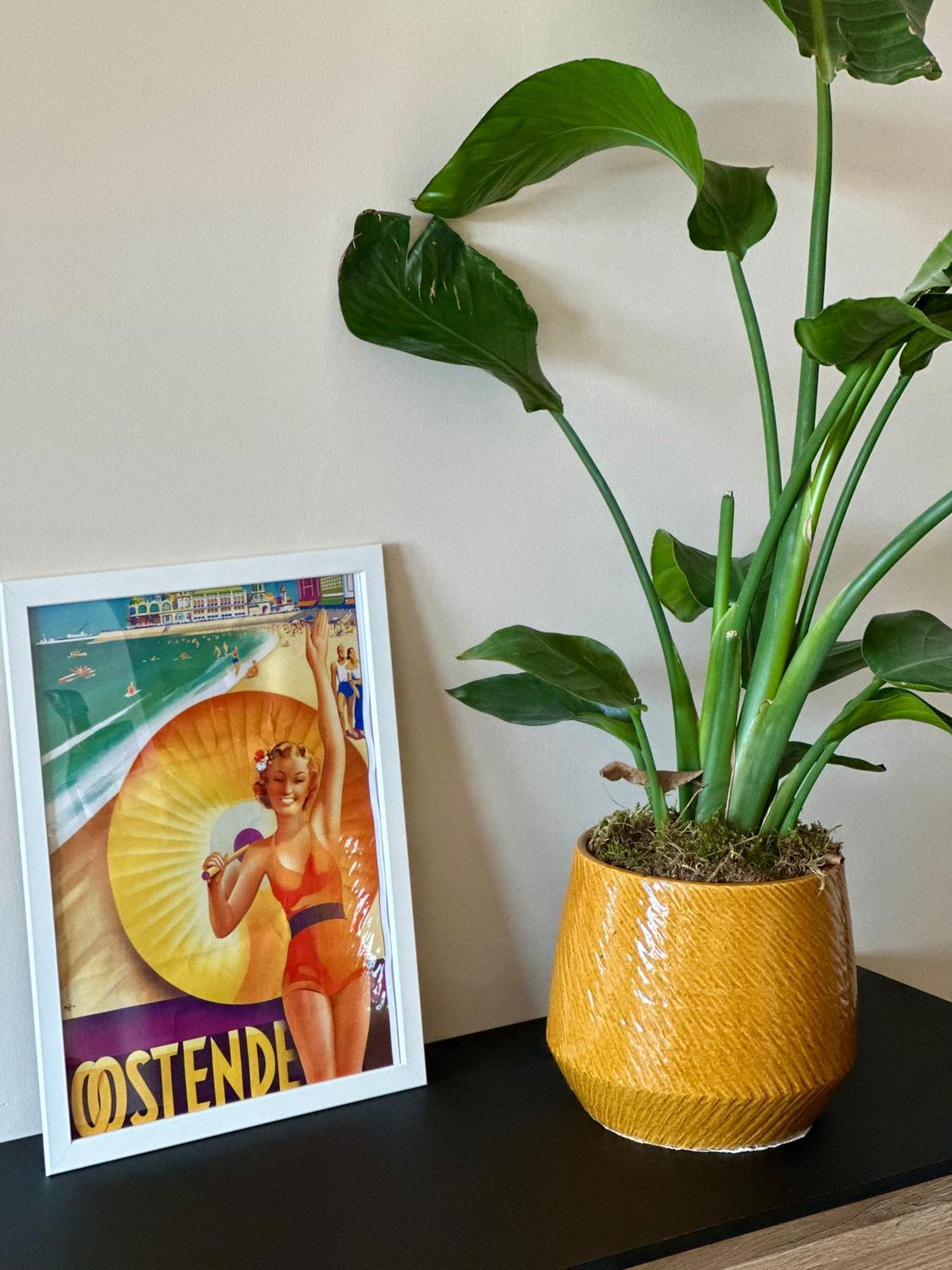 Studio By Aimee - 20M From The Beach & In City Centre! 奥斯滕德 外观 照片